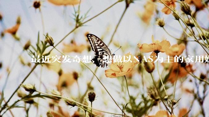 最近突发奇想，想做以NAS为主的家用媒体中心。下面是我做的一个草图，各位大神看看可行吗？