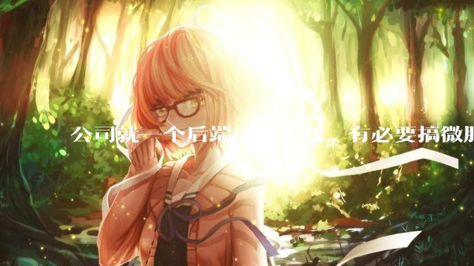 公司就一个后端一个前端，有必要搞微服务吗？