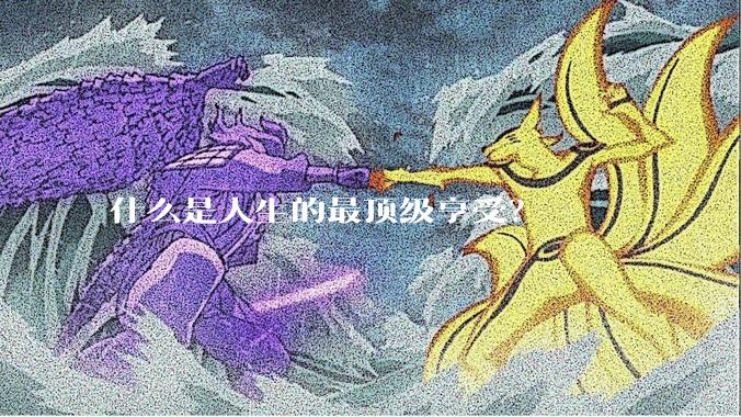 什么是人生的最顶级享受？