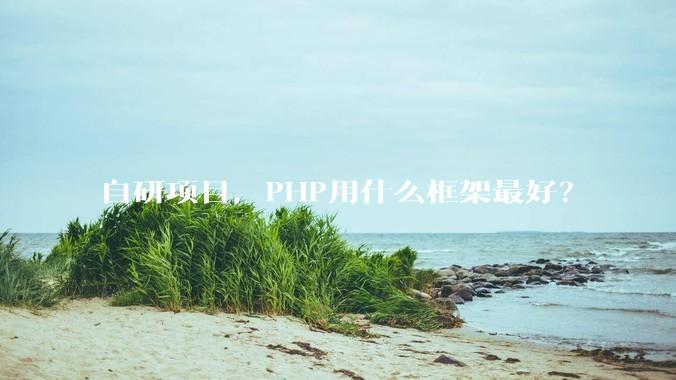 自研项目，PHP用什么框架最好？