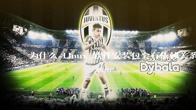 为什么 Linux 软件安装包会有依赖关系，而 Windows 软件安装包不需要？