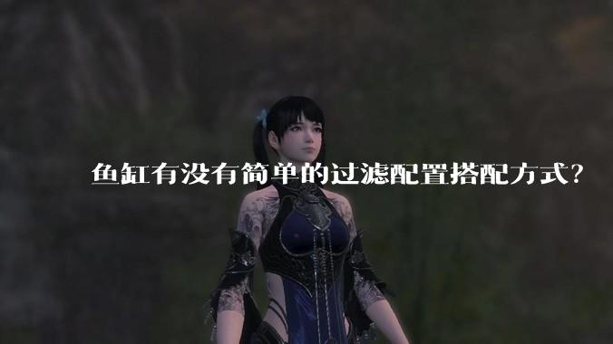 鱼缸有没有简单的过滤配置搭配方式？