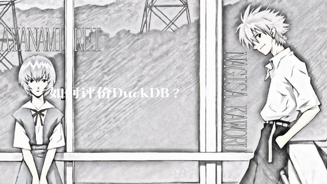 如何评价DuckDB?