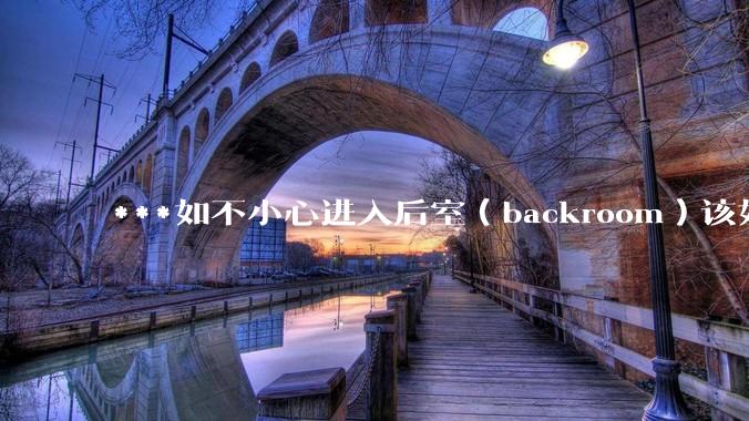 ***如不小心进入后室（backroom）该如何求生？
