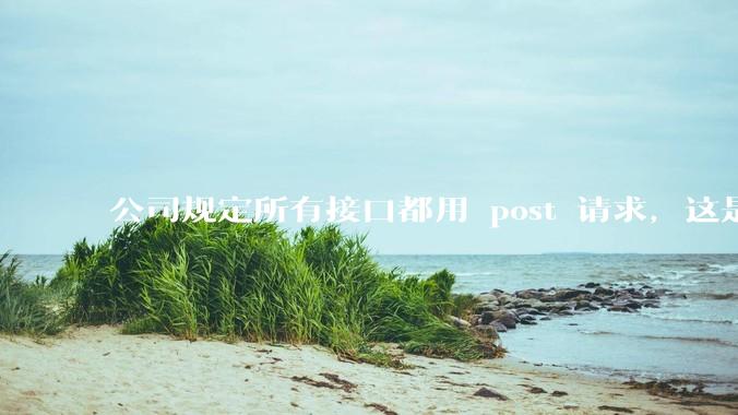 公司规定所有接口都用 post 请求，这是为什么？