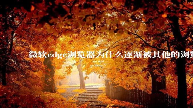 微软edge浏览器为什么逐渐被其他的浏览器代替？