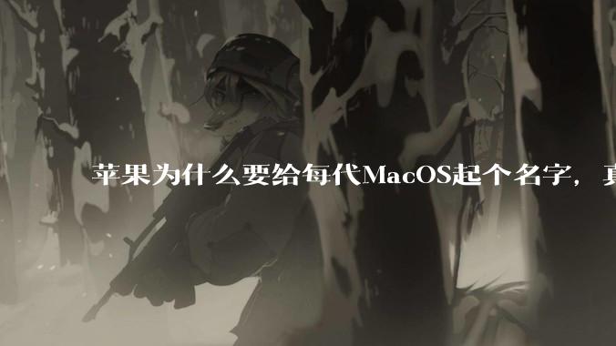 苹果为什么要给每代MacOS起个名字，真以为人们记得住分得清吗？