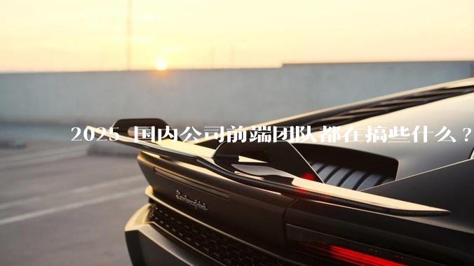 2025 国内公司前端团队都在搞些什么?
